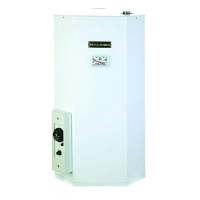 آبگرمکن ایمن گاز برقی دیواری 50 لیتری آرمین A گالوانیزه